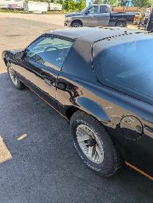 1982 Recaro Hurst 4spd Trans Am