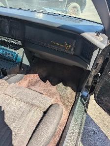 1982 Recaro Hurst 4spd Trans Am - Photo 9
