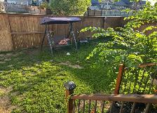 need lawn mowed Tonight in Stonebridge