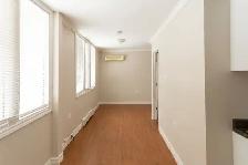 Newly Renovated Bachelor Apartment for Rent - Photo 2