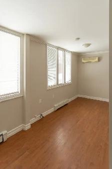 Newly Renovated Bachelor Apartment for Rent - Photo 3