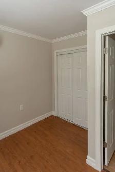 Newly Renovated Bachelor Apartment for Rent - Photo 5