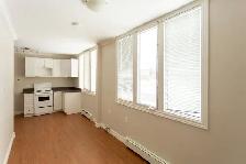 Newly Renovated Bachelor Apartment for Rent - Photo 6