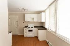 Newly Renovated Bachelor Apartment for Rent - Photo 7