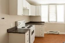 Newly Renovated Bachelor Apartment for Rent - Photo 8