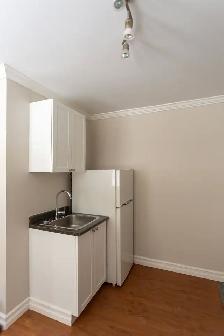 Newly Renovated Bachelor Apartment for Rent - Photo 9