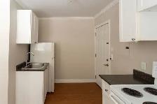 Newly Renovated Bachelor Apartment for Rent - Photo 10