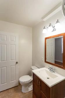 Newly Renovated Bachelor Apartment for Rent - Photo 11