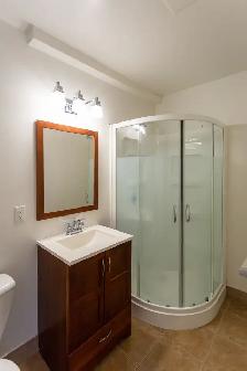 Newly Renovated Bachelor Apartment for Rent - Photo 12