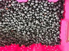 new Blueberry Claypso - Photo 2