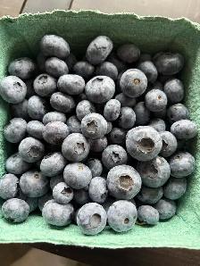 new Blueberry Claypso - Photo 3