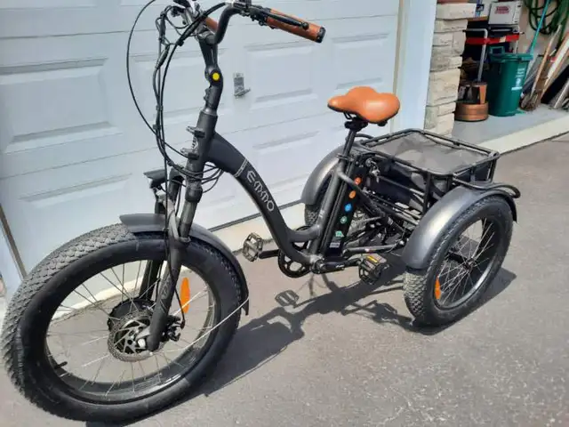 3 wheeler E bike $2500