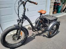 3 wheeler E bike $2500