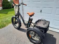 3 wheeler E bike $2500 - Photo 2