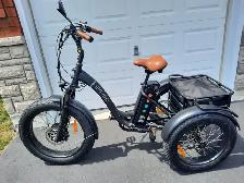 3 wheeler E bike $2500 - Photo 3
