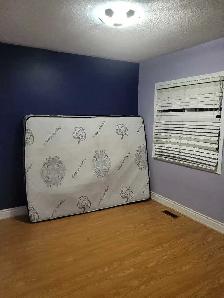 Private room for rent - Photo 5