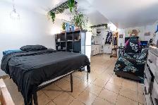 $1,150 Studio Bachelor Apartment, Bloor / Christie / Ossington - Photo 2