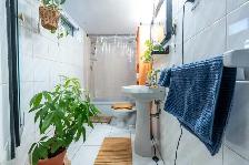 $1,150 Studio Bachelor Apartment, Bloor / Christie / Ossington - Photo 4