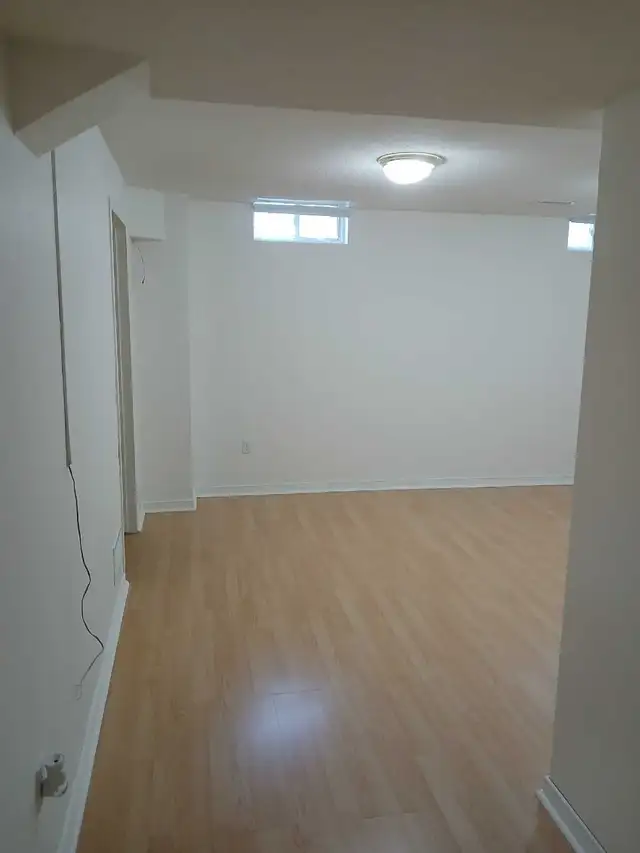 Painter/ Taper