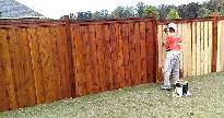Raw Wood Fence Staining