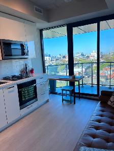 Downtown Toronto Rental - Photo 2