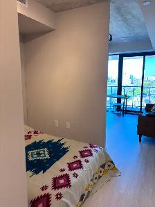 Downtown Toronto Rental - Photo 4