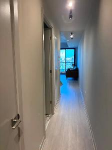 Downtown Toronto Rental - Photo 8