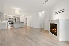 Bright & Modern 2 Bedroom Condo Close to Downtown - Photo 4