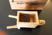 Brand New Craft Wheelbarrow - Photo 3