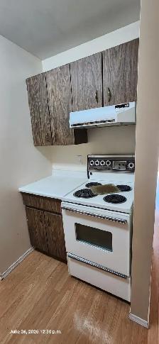Nicola Apartments #207 - Merritt, BC - Photo 5