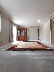 Don Mills and McNichols - I Lg Bedroom - Photo 2