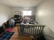 student rooms for sharing - Photo 5
