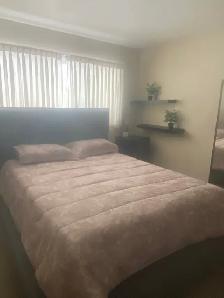 All inclusive master bedroom rm in Holyrood @775/month or 350/wk - Photo 4