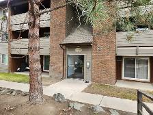 Woodlane Manor #309 - Photo 2