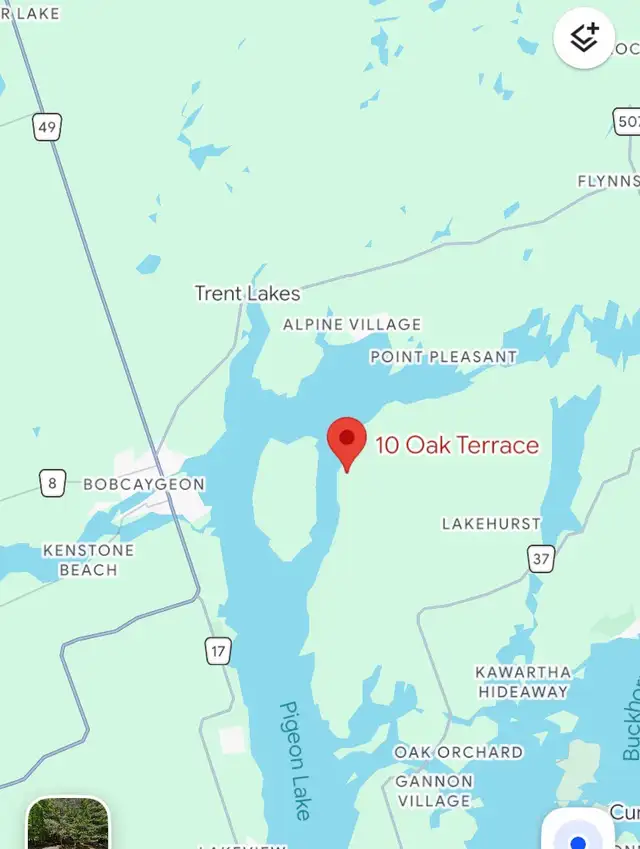Land / wooded lot