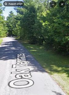 Land / wooded lot - Photo 3