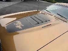 1971 Dodge Charger R/T 440 - Photo 3