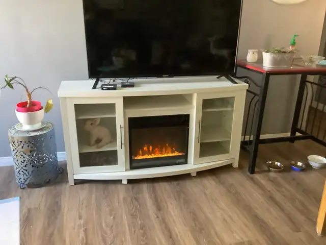 Tv stand fireplace