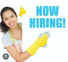 restaurant cleaner needed