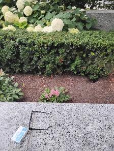 Garden Cleanup - Photo 2