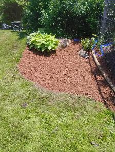 Garden Cleanup - Photo 3