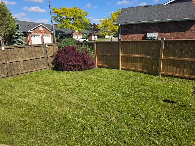 lawn mow