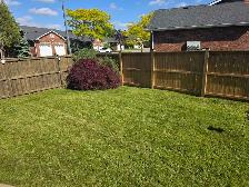 lawn mow