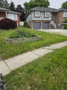 lawn mow - Photo 2