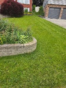 lawn mow - Photo 4