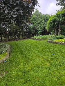 lawn mow - Photo 5
