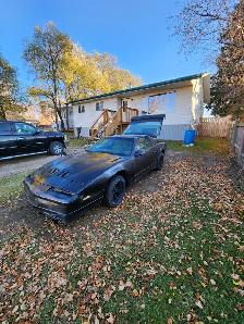 1986 Pontiac Transam For Sale - Photo 2