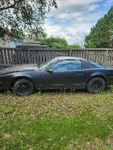 1986 Pontiac Transam For Sale - Photo 10