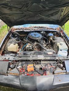 1986 Pontiac Transam For Sale - Photo 11