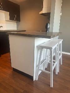 Bright bachelor suite for rent_west college park - Photo 2